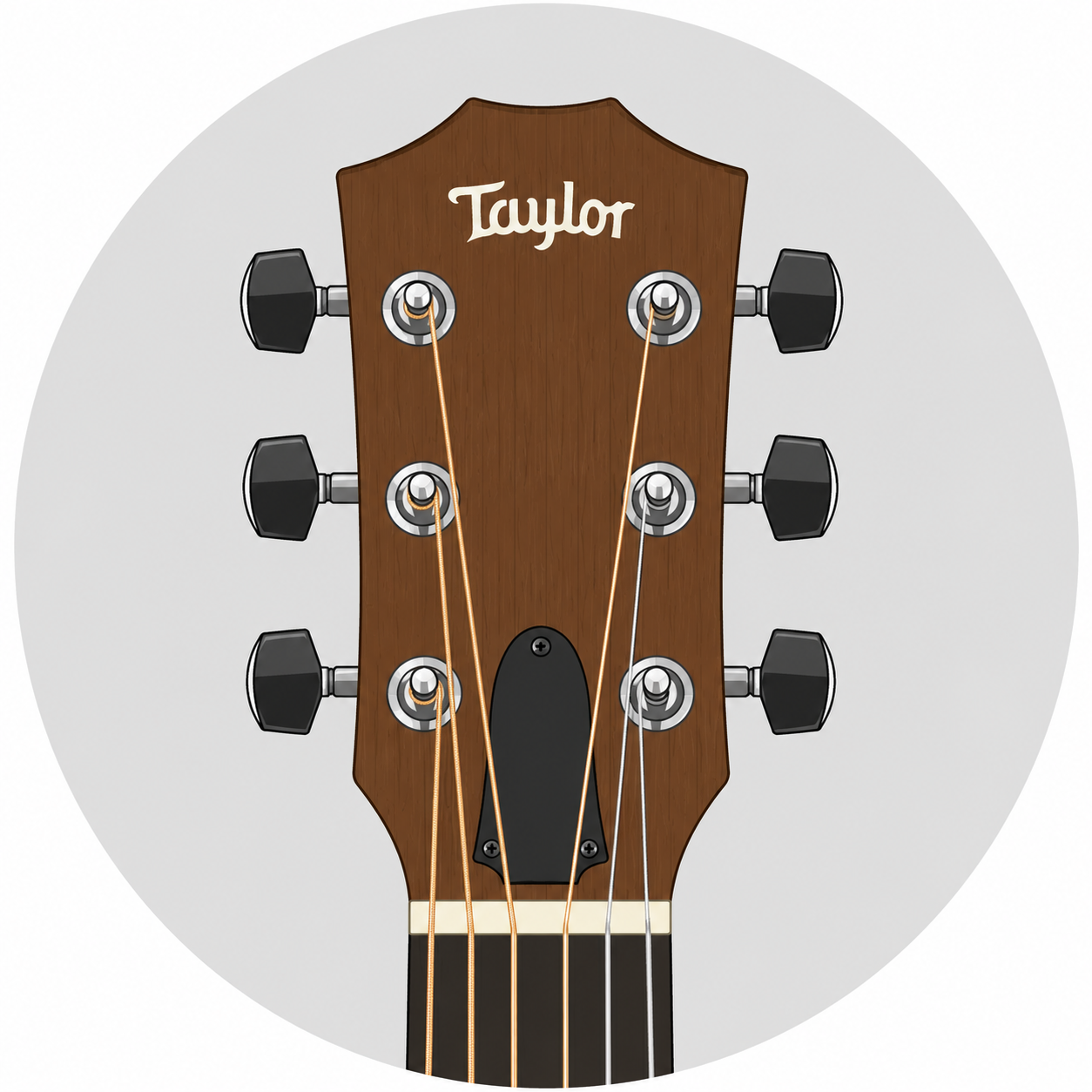 Acoustic Guitar